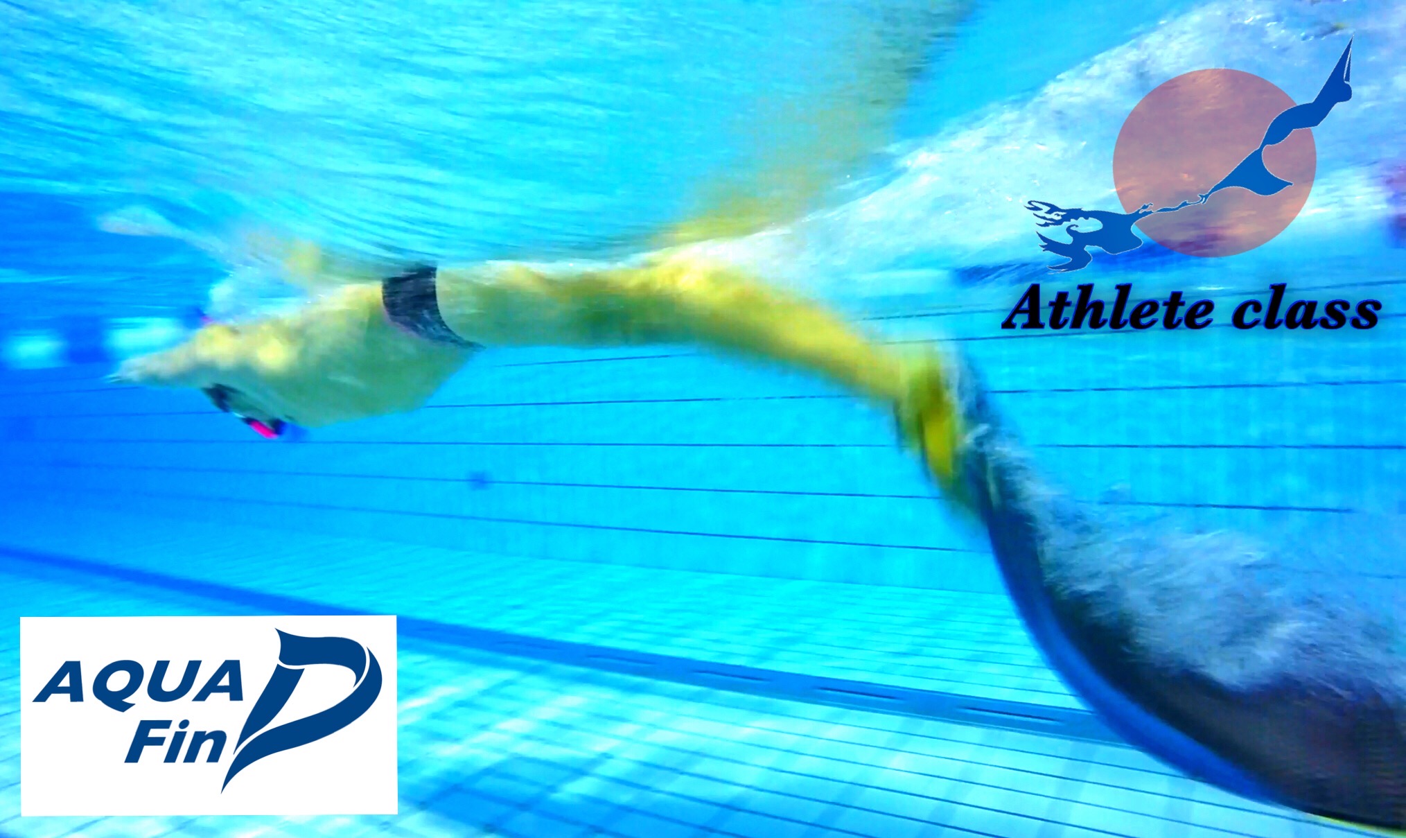 Fin-D SwimSchoolアスリートクラス